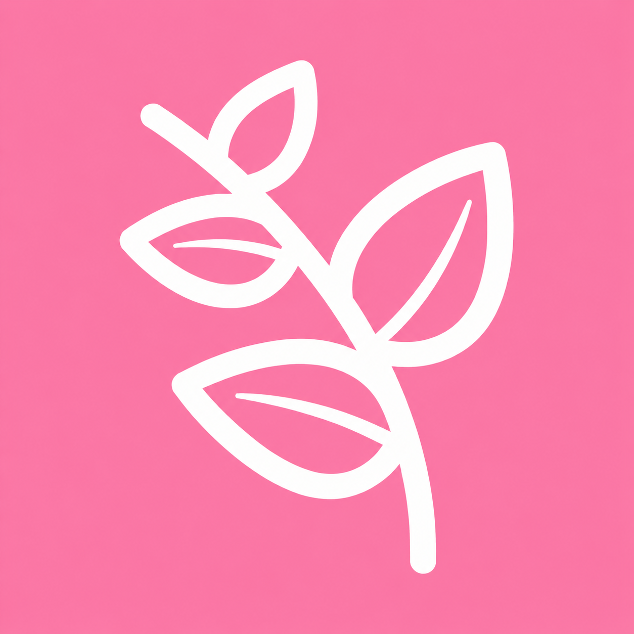 Logo do Studio Zen